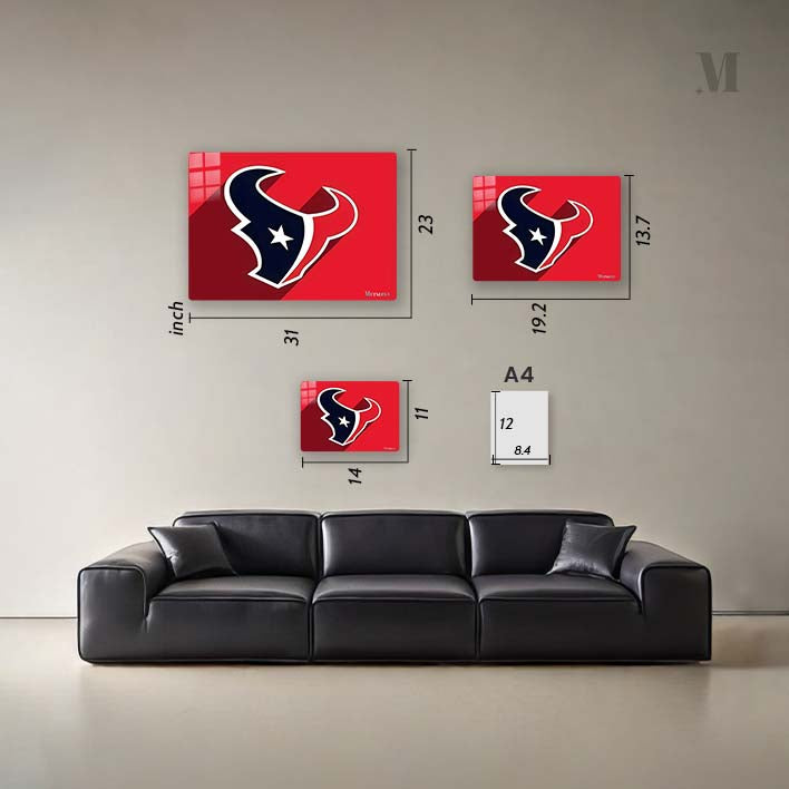 Houston Texans
