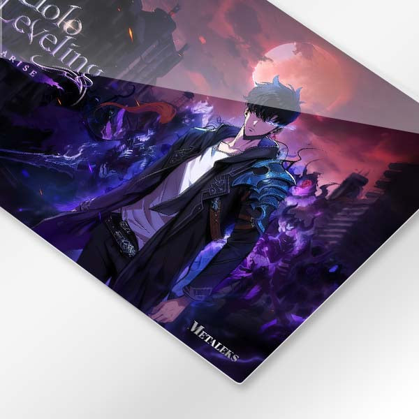 solo leveling 13
