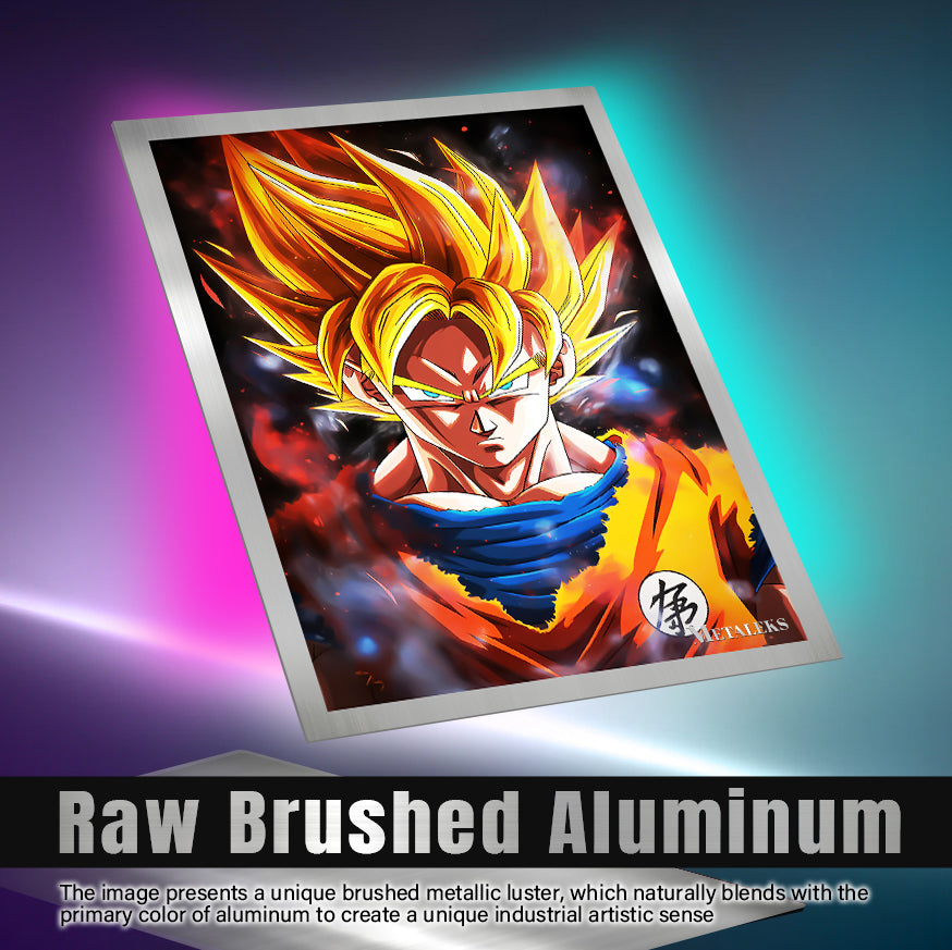B00004-Goku
