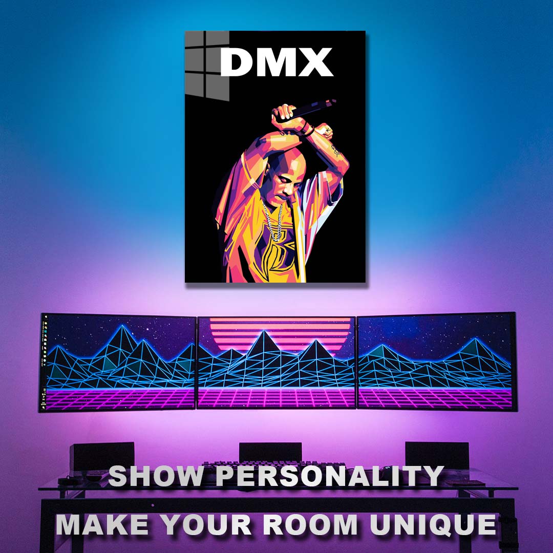 DMX-01