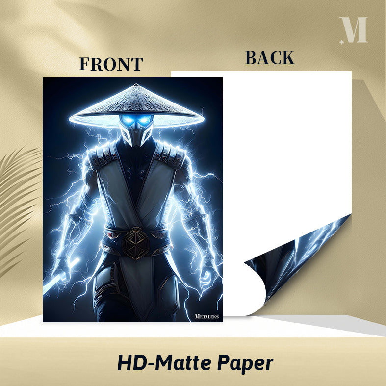 RAIDEN