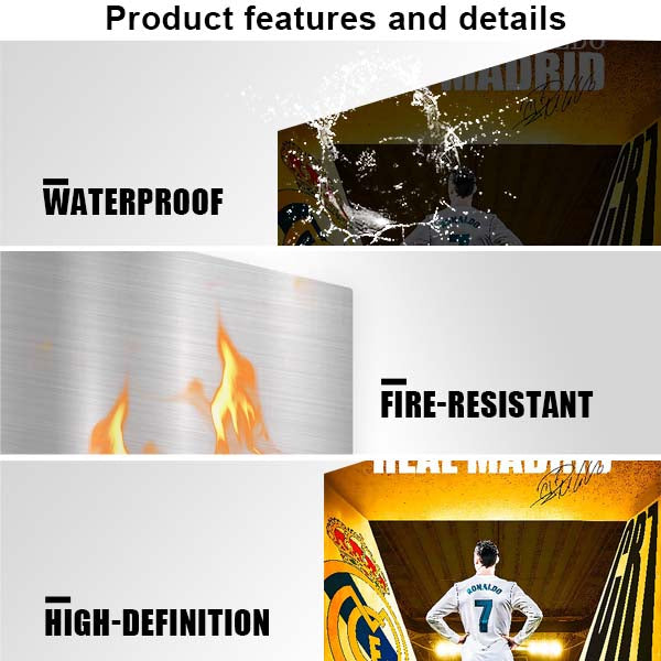 Ronaldo Poster 1