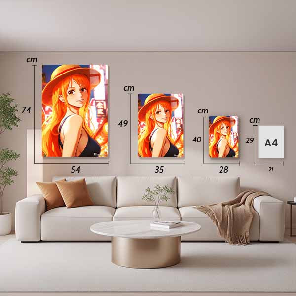 S014 One Piece Nami