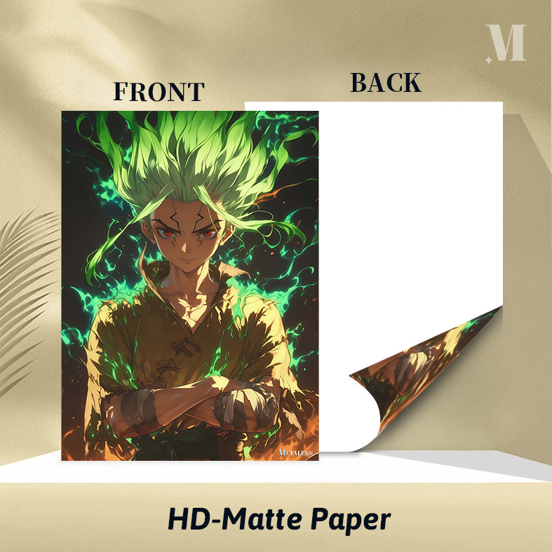 Senku Ishigami Dr. Stone ZeetArt 001