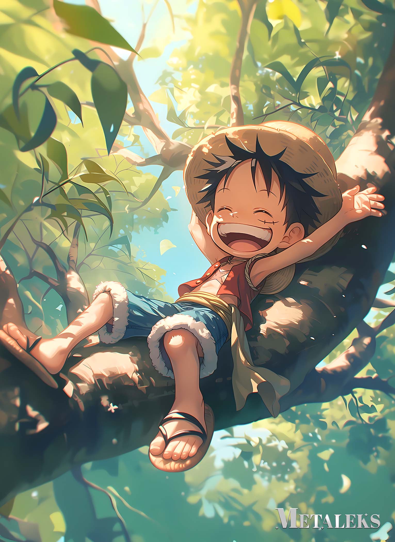 luffy1