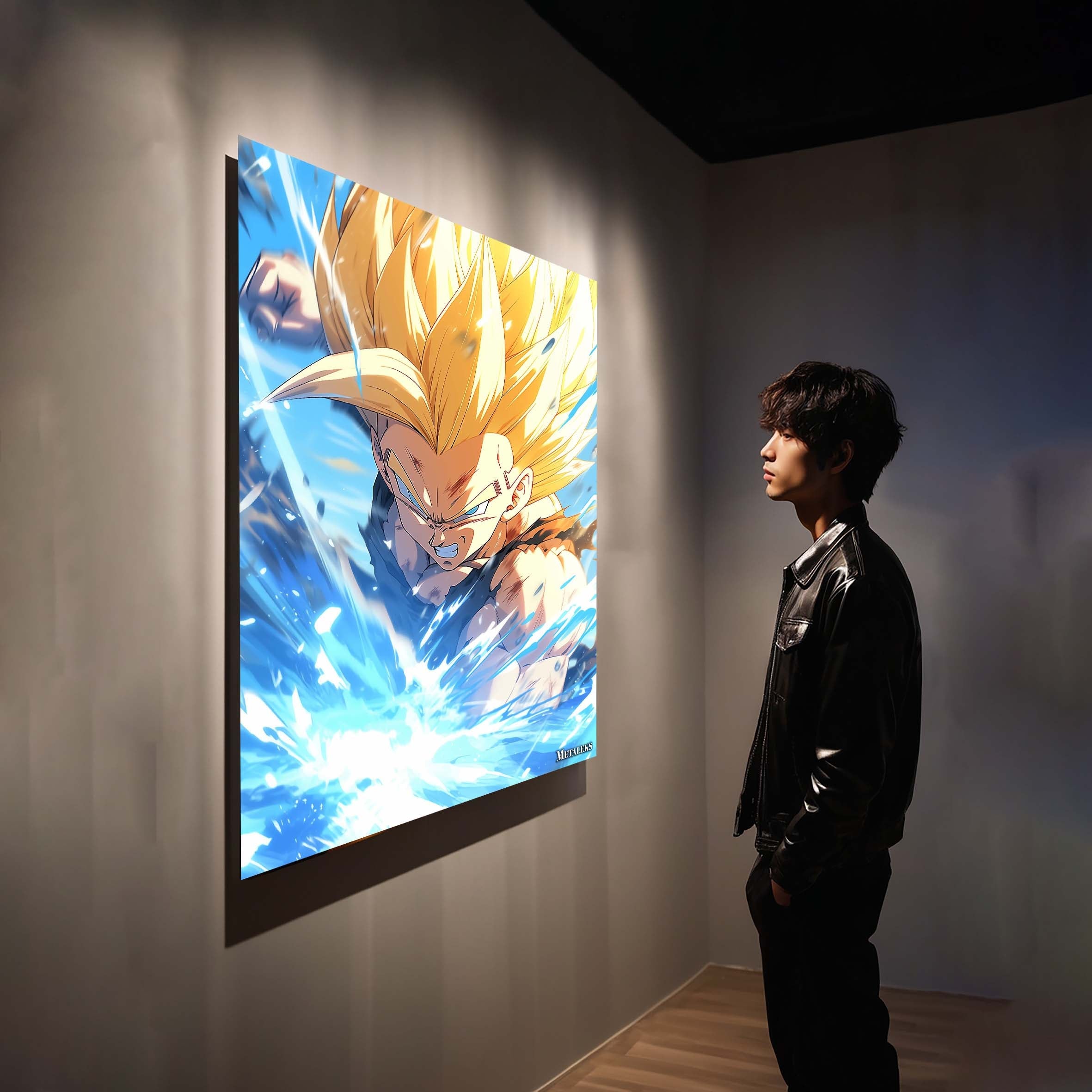 Vegeta£üDragonBall