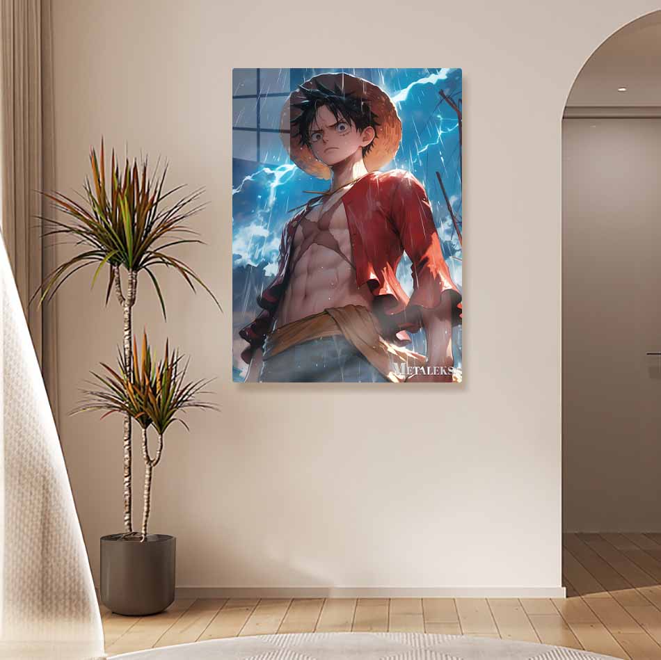 D058 - LUFFY