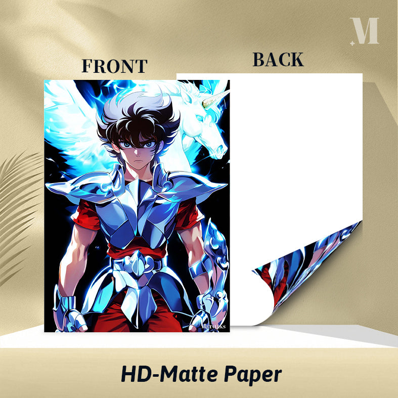 G0264 Saint Seiya - Pegasus Seiya  H091825