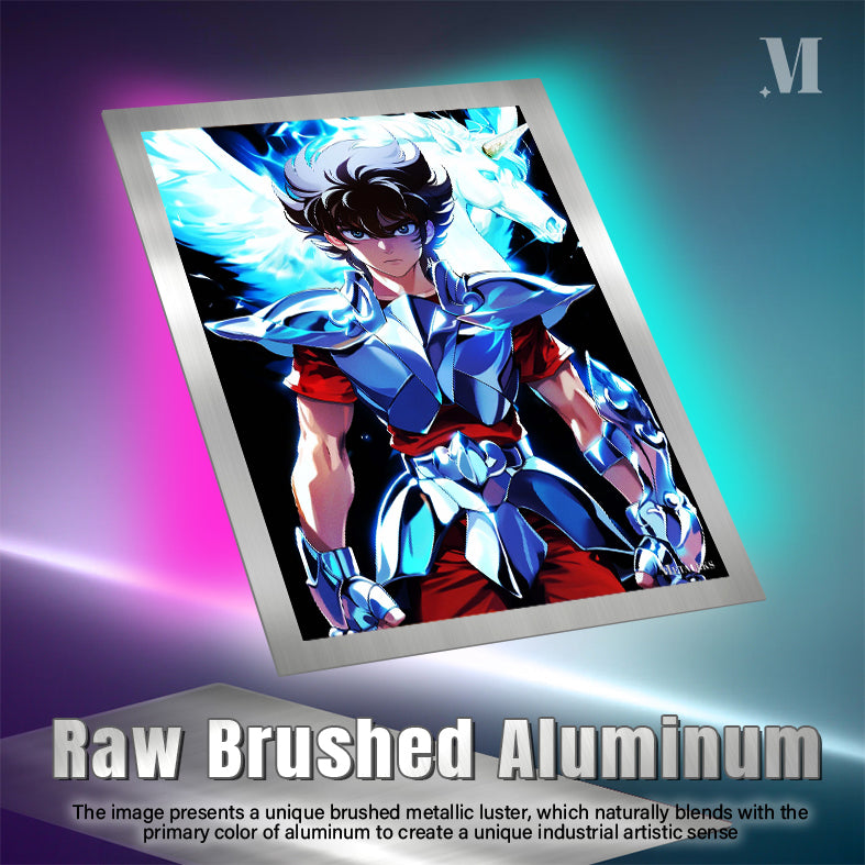 G0264 Saint Seiya - Pegasus Seiya  H091825