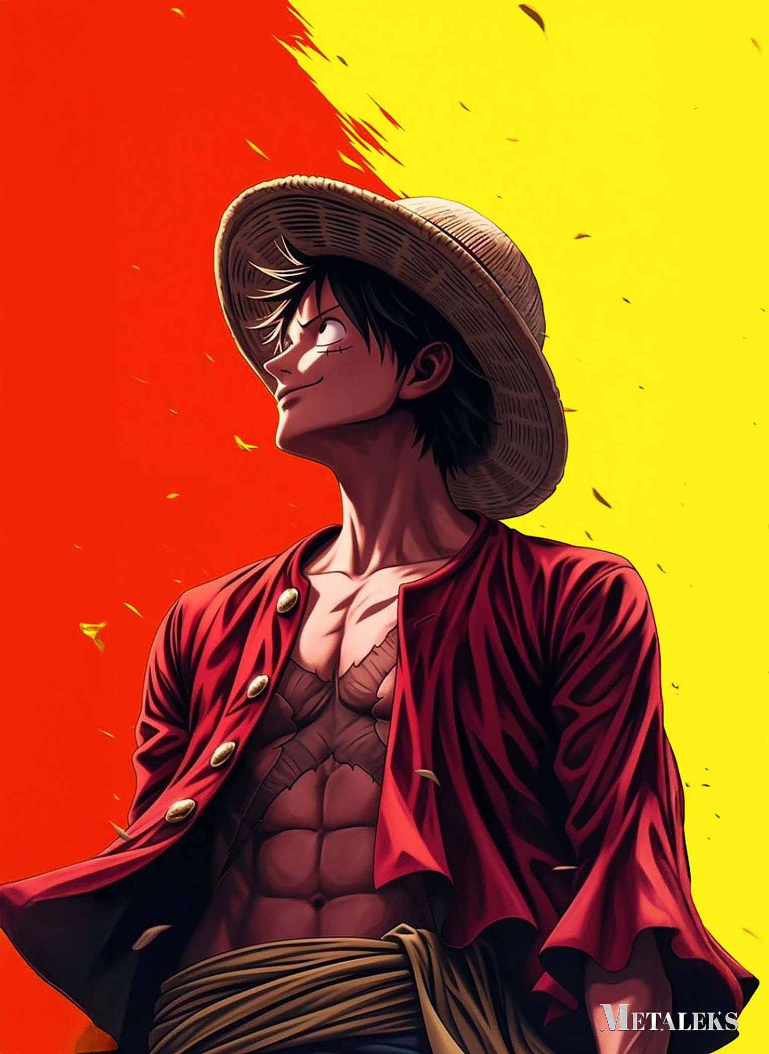 Luffy-02