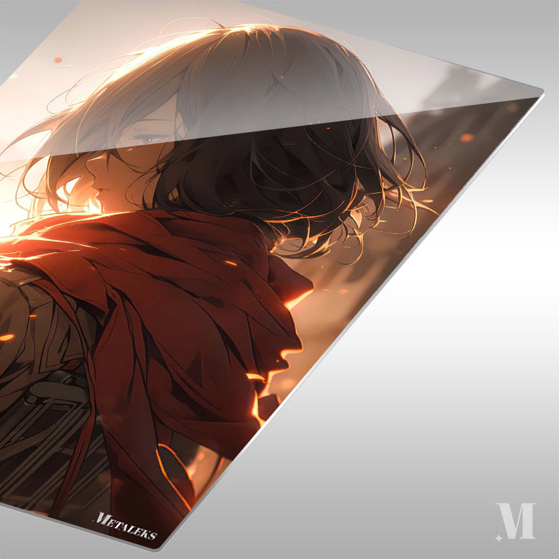 Mikasa - Reminiscence