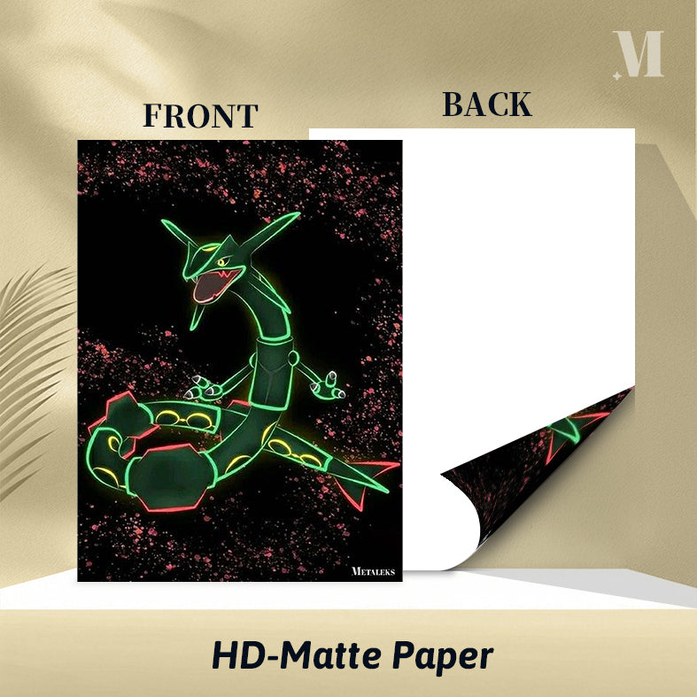 Rayquaza Pokemon  D091725