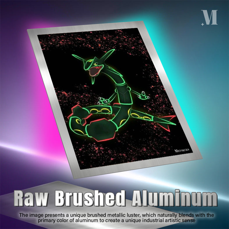 Rayquaza Pokemon  D091725