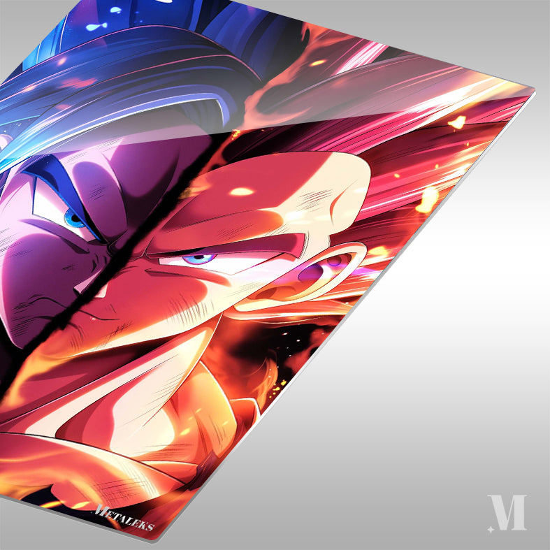 S0101 Goku x Vegeta  H091825