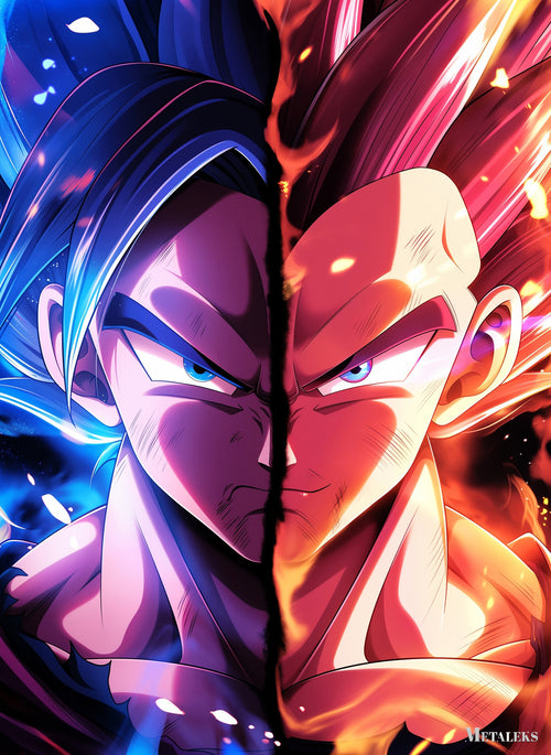 S0101 Goku x Vegeta  H091825