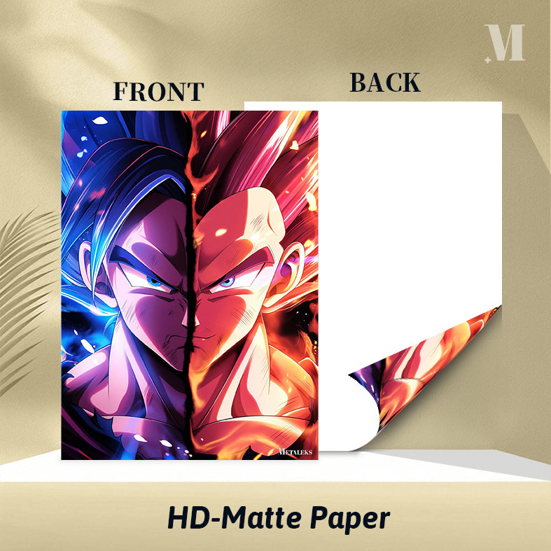 S0101 Goku x Vegeta  H091825