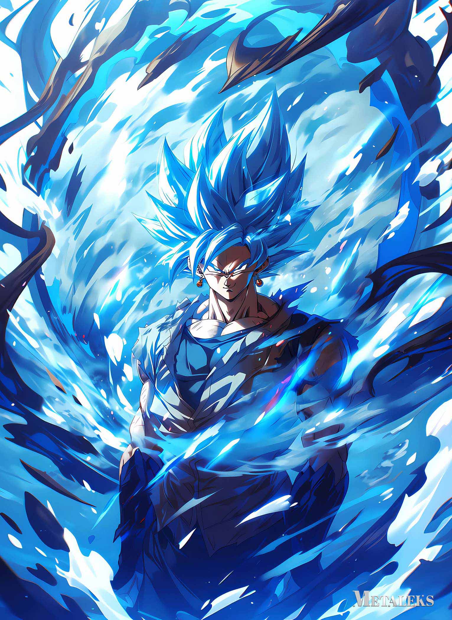 Vegetto-01