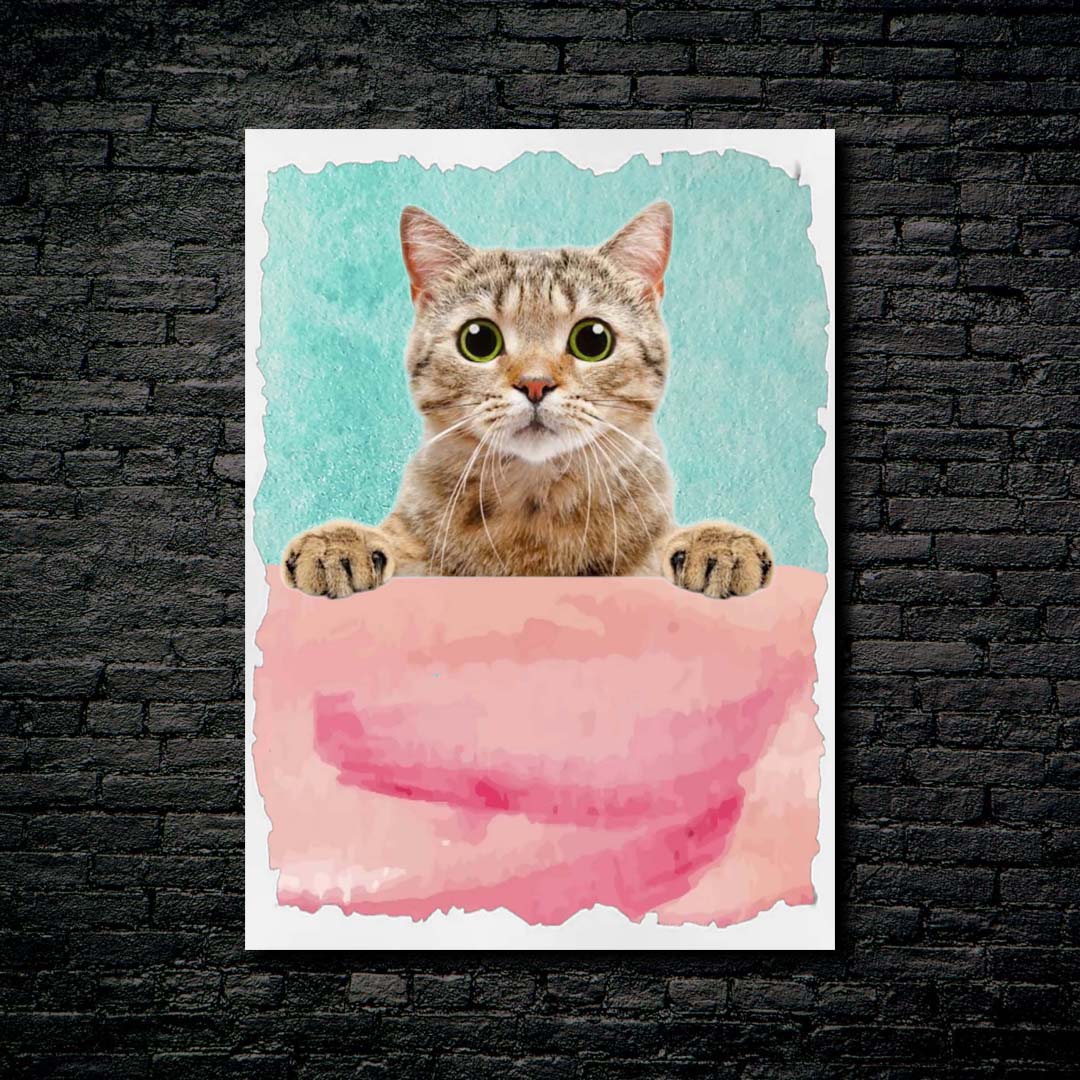 shy cat